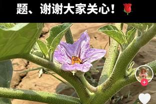 克罗斯本场数据：1次助攻，3次关键传球，1次创造良机，评分7.7分